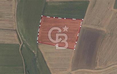 Tekirdağ Hayrabolu Çene Mahallesi Satılık 21.581,08m² Tarla