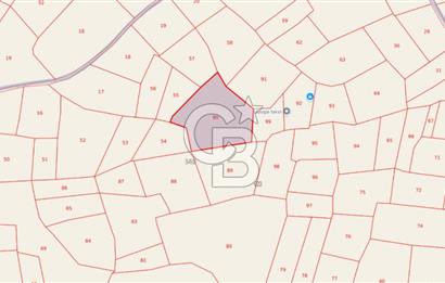 Tekirdağ Süleymanpaşa Zafer Mahallesi Satılık 6503 m² Arazi