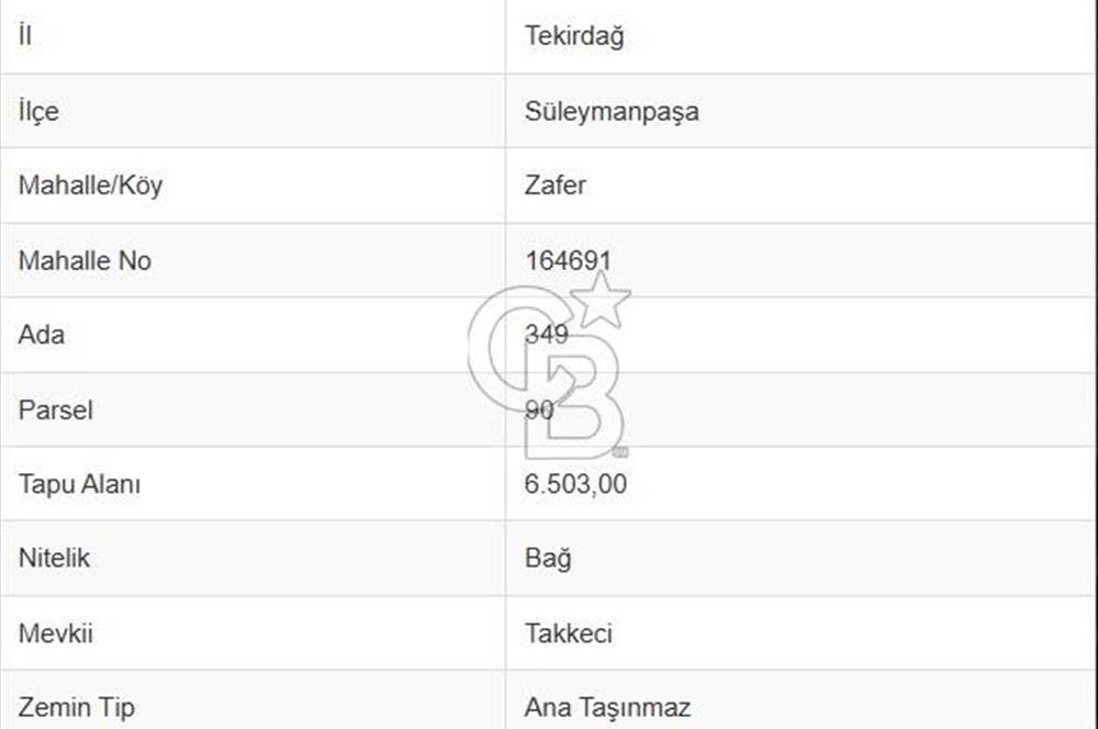 Tekirdağ Süleymanpaşa Zafer Mahallesi Satılık 6503 m² Arazi