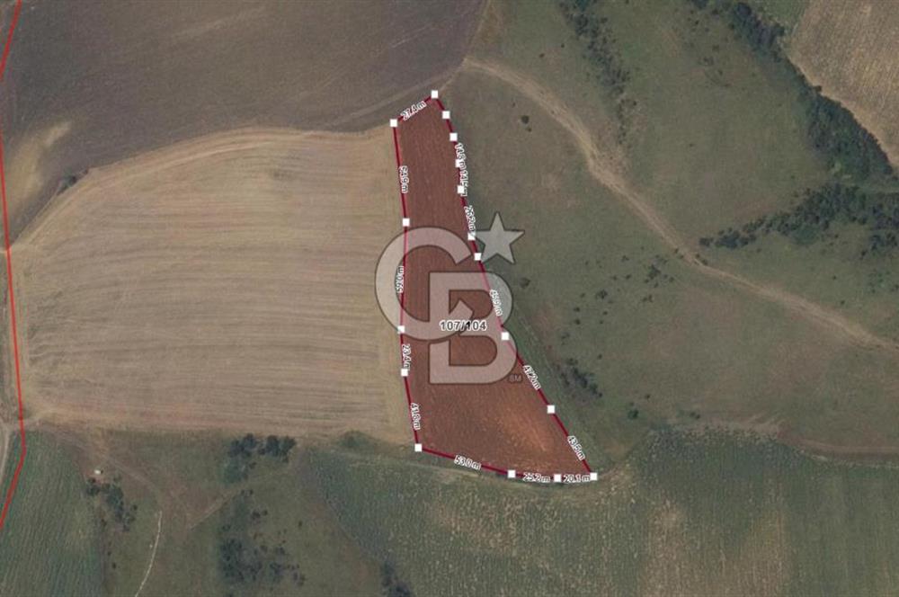 Tekirdağ Hayrabolu Çene Mahallesi Satılık 10.219,10 m² Tarla