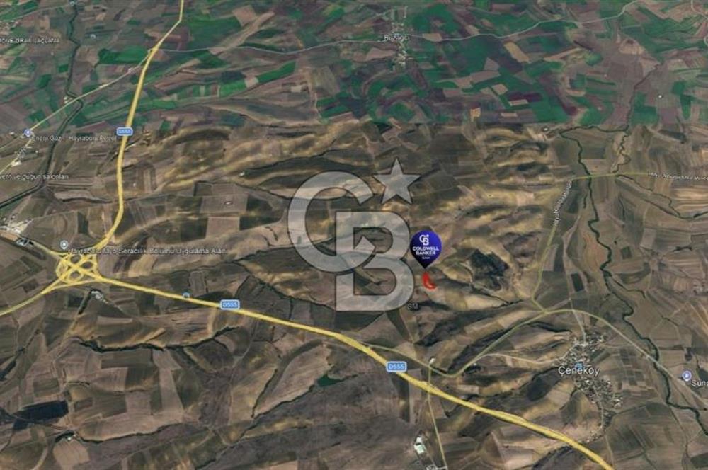 Tekirdağ Hayrabolu Çene Mahallesi Satılık 10.219,10 m² Tarla