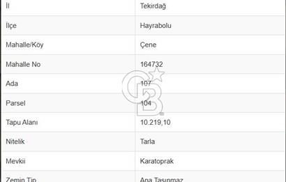 Tekirdağ Hayrabolu Çene Mahallesi Satılık 10.219,10 m² Tarla