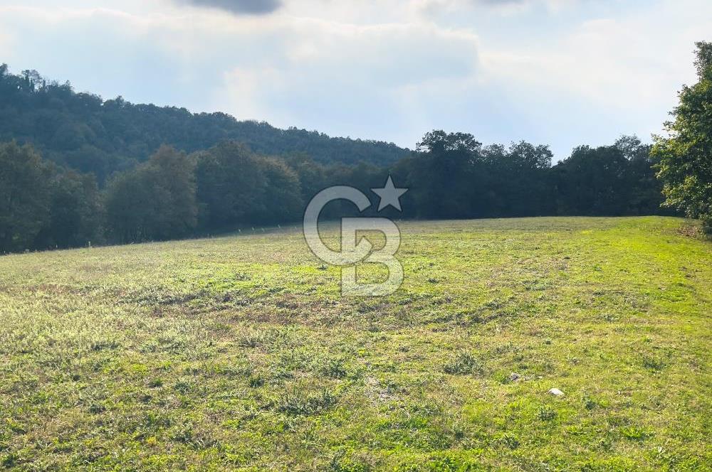 İZMİT KOZLUCA'DA SATILIK 6424 M² TARLA