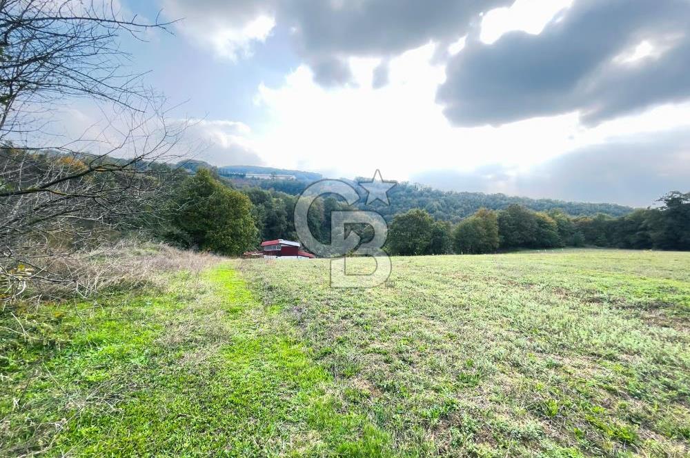 İZMİT KOZLUCA'DA SATILIK 6424 M² TARLA