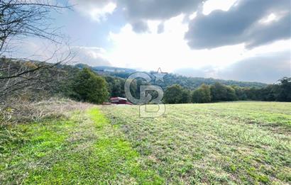 İZMİT KOZLUCA'DA SATILIK 6424 M² TARLA