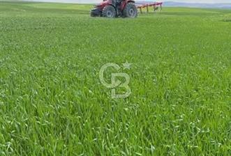 Elmadağ Tatlıca'da Satılık 8.250.000 TL Yolu Açık Tarla - 1 - 379440