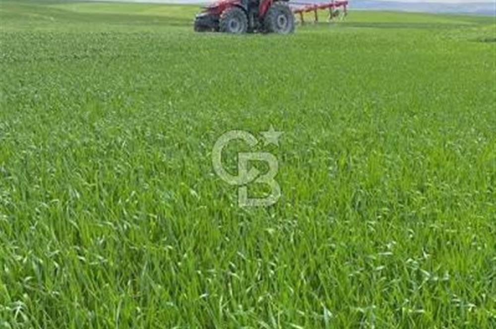 Elmadağ Tatlıca'da Satılık 8.250.000 TL Yolu Açık Tarla