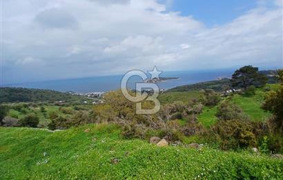 KARABURUN MERKEZ’DE SATILIK BAHÇE | DOĞAYLA İÇ İÇE YATIRIM FIRSATI