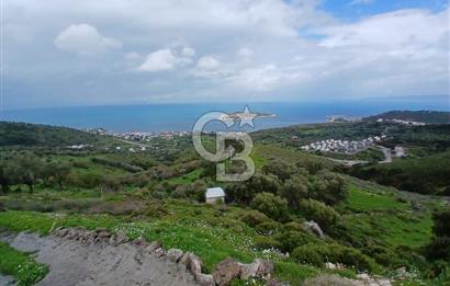 KARABURUN MERKEZ’DE SATILIK BAHÇE | DOĞAYLA İÇ İÇE YATIRIM FIRSATI