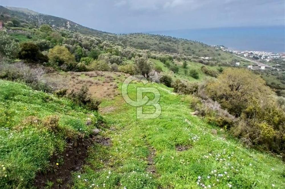 KARABURUN MERKEZ’DE SATILIK BAHÇE | DOĞAYLA İÇ İÇE YATIRIM FIRSATI
