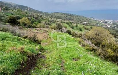 KARABURUN MERKEZ’DE SATILIK BAHÇE | DOĞAYLA İÇ İÇE YATIRIM FIRSATI