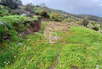 KARABURUN MERKEZ’DE SATILIK BAHÇE | DOĞAYLA İÇ İÇE YATIRIM FIRSATI - 1 - 379513