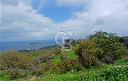 KARABURUN MERKEZ’DE SATILIK BAHÇE | DOĞAYLA İÇ İÇE YATIRIM FIRSATI
