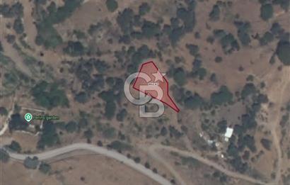 KARABURUN MERKEZ’DE SATILIK BAHÇE | DOĞAYLA İÇ İÇE YATIRIM FIRSATI