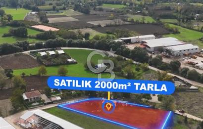 ÜRÜNLÜ MAH 2 DÖNÜM SATILIK TARLA