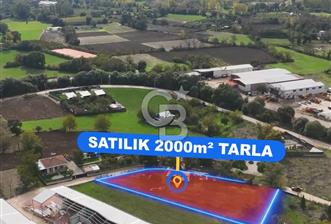 ÜRÜNLÜ MAH 2 DÖNÜM SATILIK TARLA - 2 - 379231