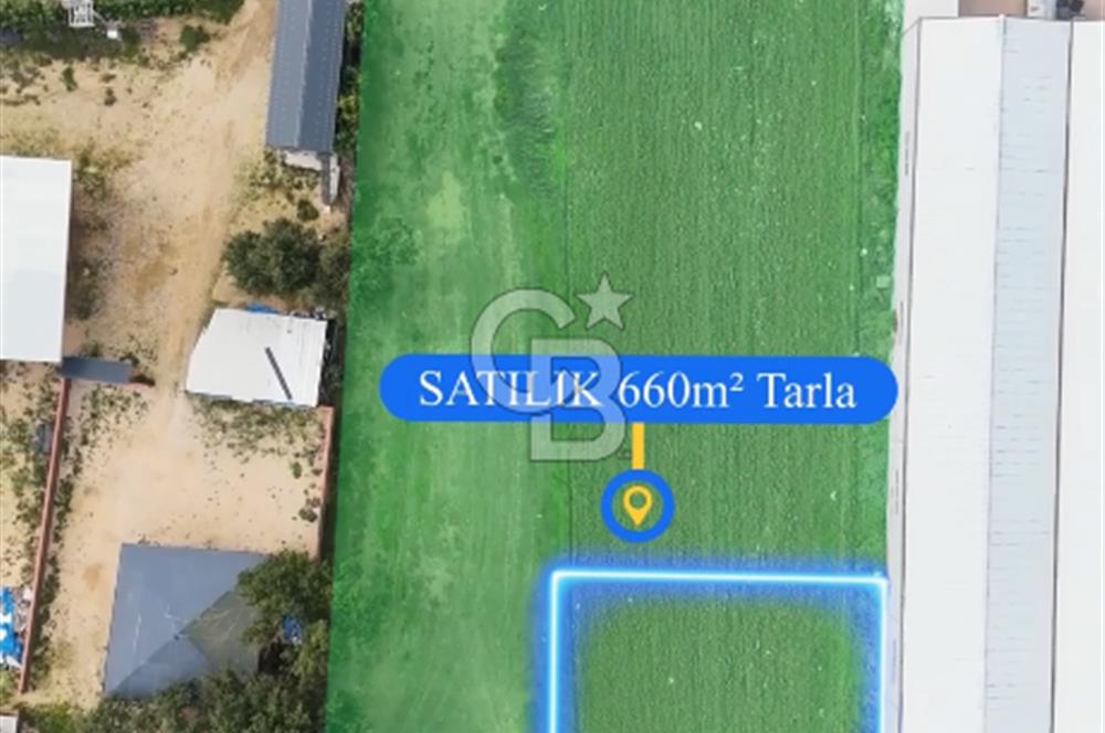 ÜRÜNLÜ 660 METREKARE SATILIK TARLA