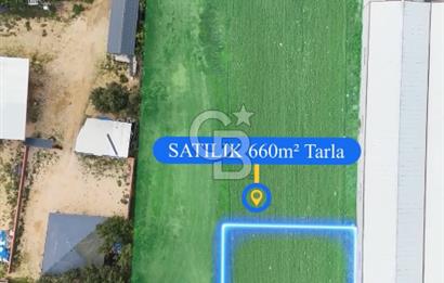 ÜRÜNLÜ 660 METREKARE SATILIK TARLA
