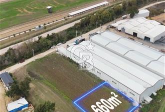 ÜRÜNLÜ 660 METREKARE SATILIK TARLA - 1 - 379233