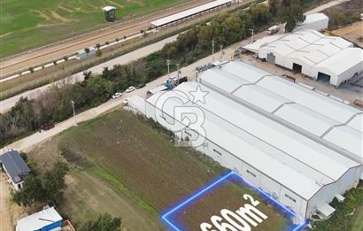 ÜRÜNLÜ 660 METREKARE SATILIK TARLA