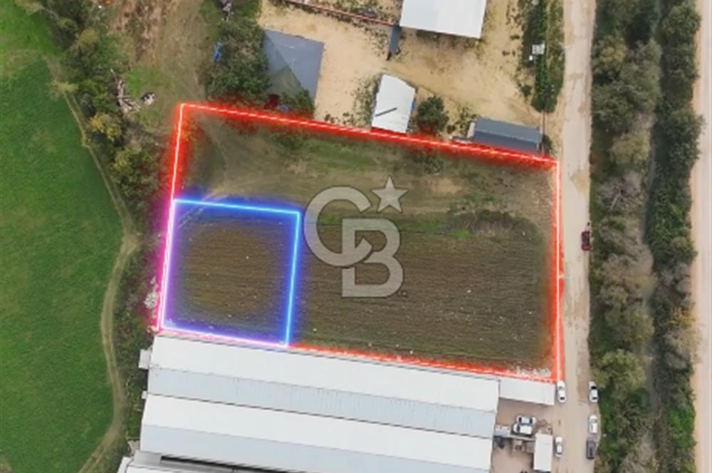 ÜRÜNLÜ 660 METREKARE SATILIK TARLA