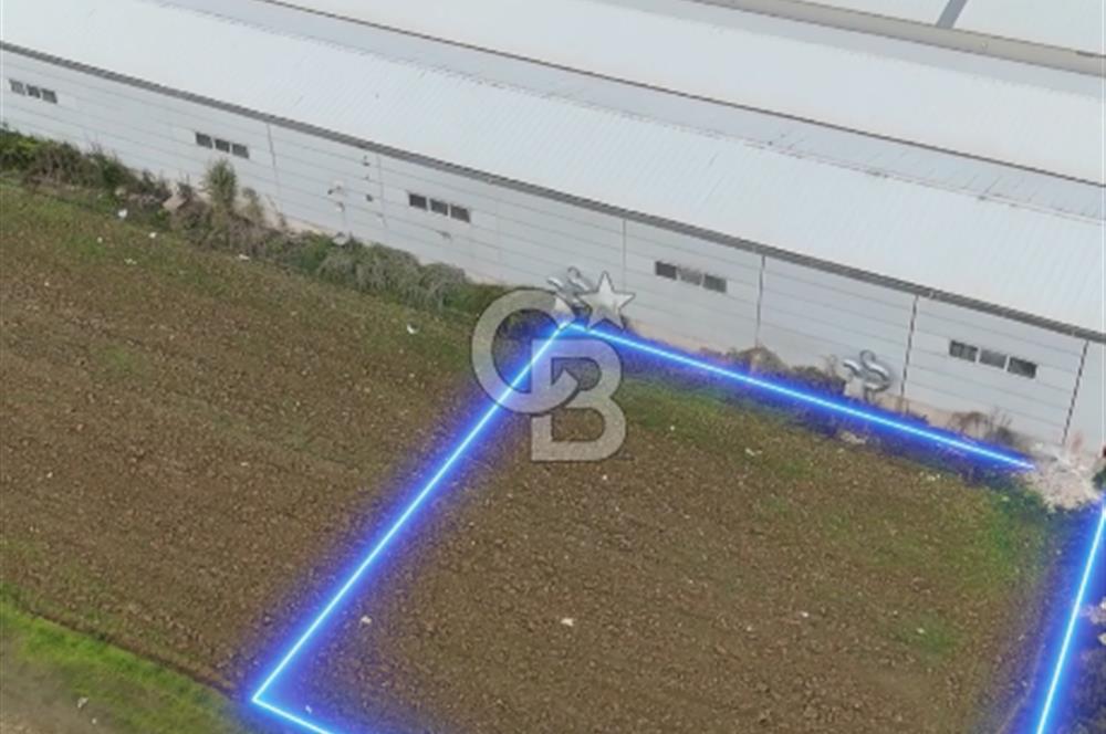 ÜRÜNLÜ 660 METREKARE SATILIK TARLA