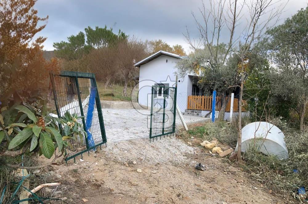 KEMALPAŞA VİŞNELİ'DE NUMARATAJLI BETONARME EV VE ZEYTİNLİK