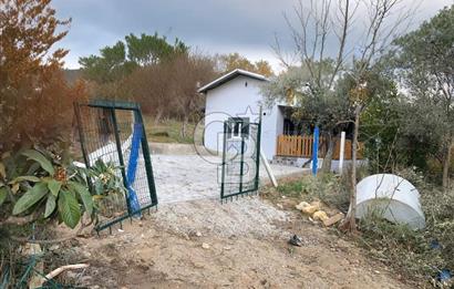 KEMALPAŞA VİŞNELİ'DE NUMARATAJLI BETONARME EV VE ZEYTİNLİK