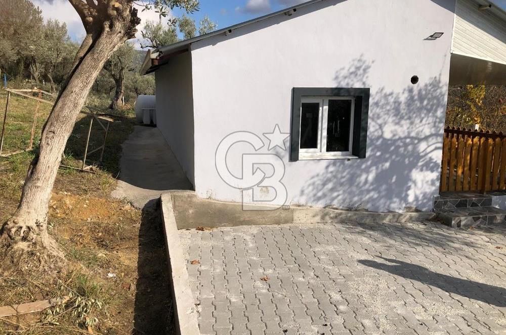 KEMALPAŞA VİŞNELİ'DE NUMARATAJLI BETONARME EV VE ZEYTİNLİK