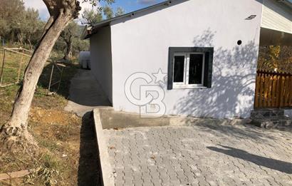 KEMALPAŞA VİŞNELİ'DE NUMARATAJLI BETONARME EV VE ZEYTİNLİK