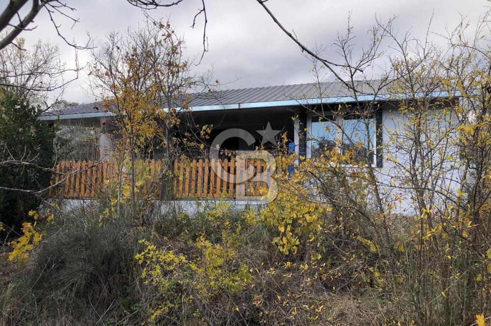 KEMALPAŞA VİŞNELİ'DE NUMARATAJLI BETONARME EV VE ZEYTİNLİK