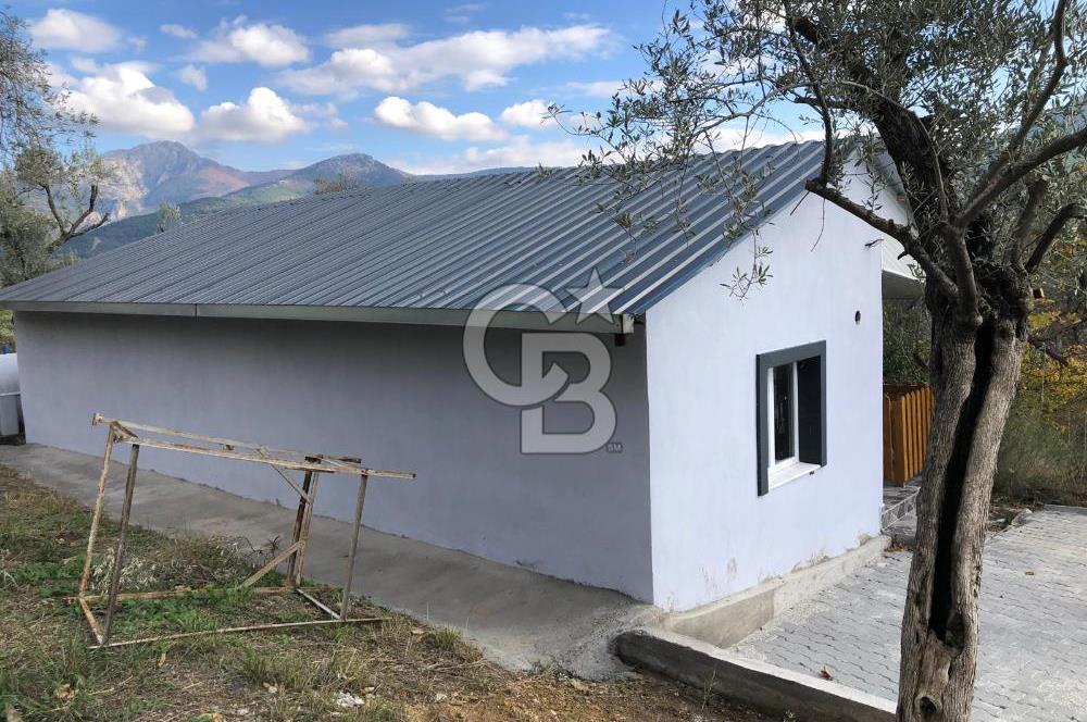 KEMALPAŞA VİŞNELİ'DE NUMARATAJLI BETONARME EV VE ZEYTİNLİK
