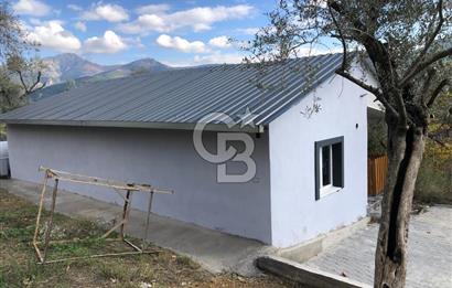 KEMALPAŞA VİŞNELİ'DE NUMARATAJLI BETONARME EV VE ZEYTİNLİK
