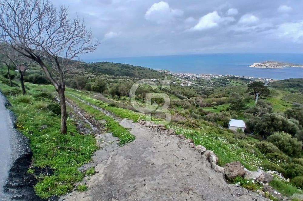 KARABURUN MERKEZ’DE SATILIK BAHÇE | DOĞAYLA İÇ İÇE YATIRIM FIRSATI