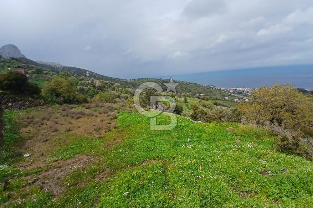 KARABURUN MERKEZ’DE SATILIK BAHÇE | DOĞAYLA İÇ İÇE YATIRIM FIRSATI