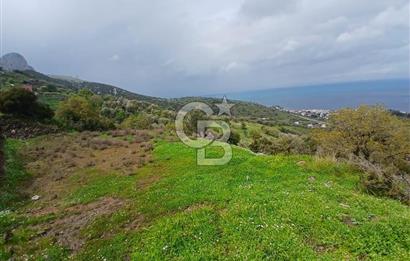 KARABURUN MERKEZ’DE SATILIK BAHÇE | DOĞAYLA İÇ İÇE YATIRIM FIRSATI