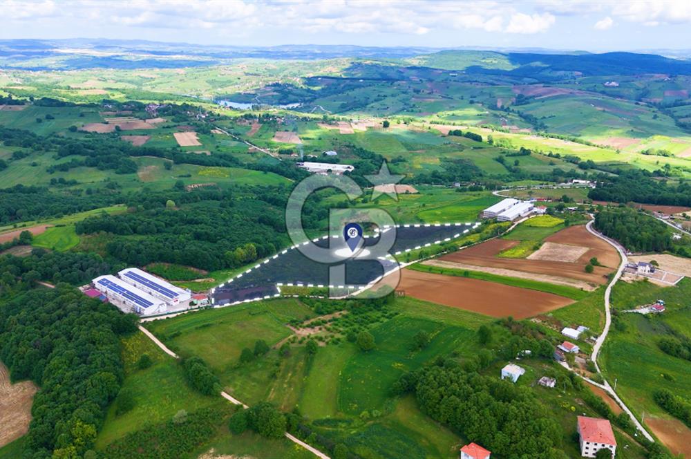 CB AKADEMİ İZMİT AKMEŞE AMBARCI KÖYÜNDE 54.000M2 SATILIK TARLA
