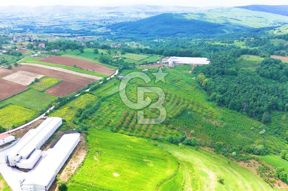 CB AKADEMİ İZMİT AKMEŞE AMBARCI KÖYÜNDE 54.000M2 SATILIK TARLA