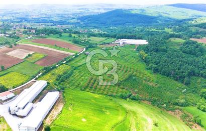 CB AKADEMİ İZMİT AKMEŞE AMBARCI KÖYÜNDE 54.000M2 SATILIK TARLA