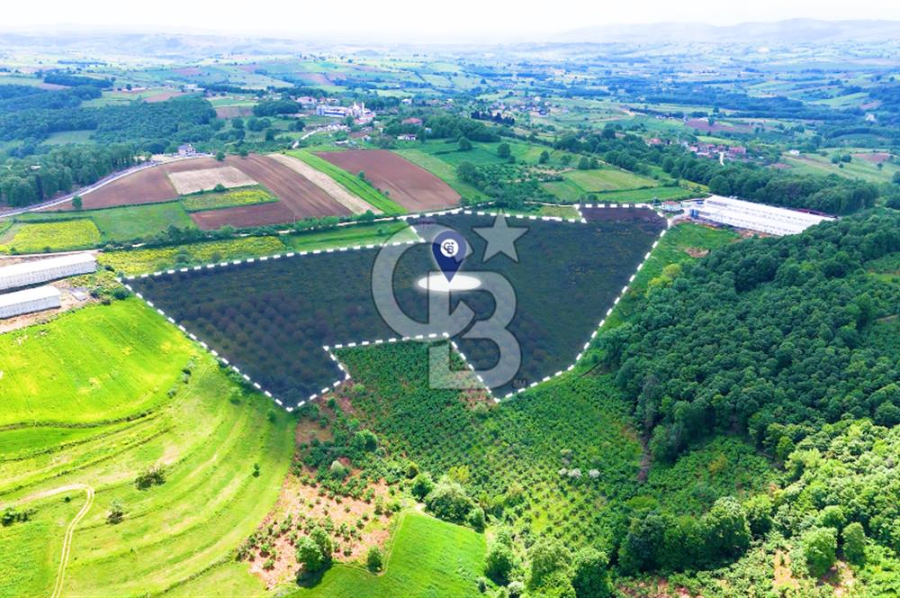 CB AKADEMİ İZMİT AKMEŞE AMBARCI KÖYÜNDE 54.000M2 SATILIK TARLA