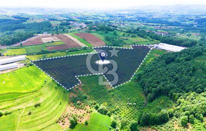 CB AKADEMİ İZMİT AKMEŞE AMBARCI KÖYÜNDE 54.000M2 SATILIK TARLA