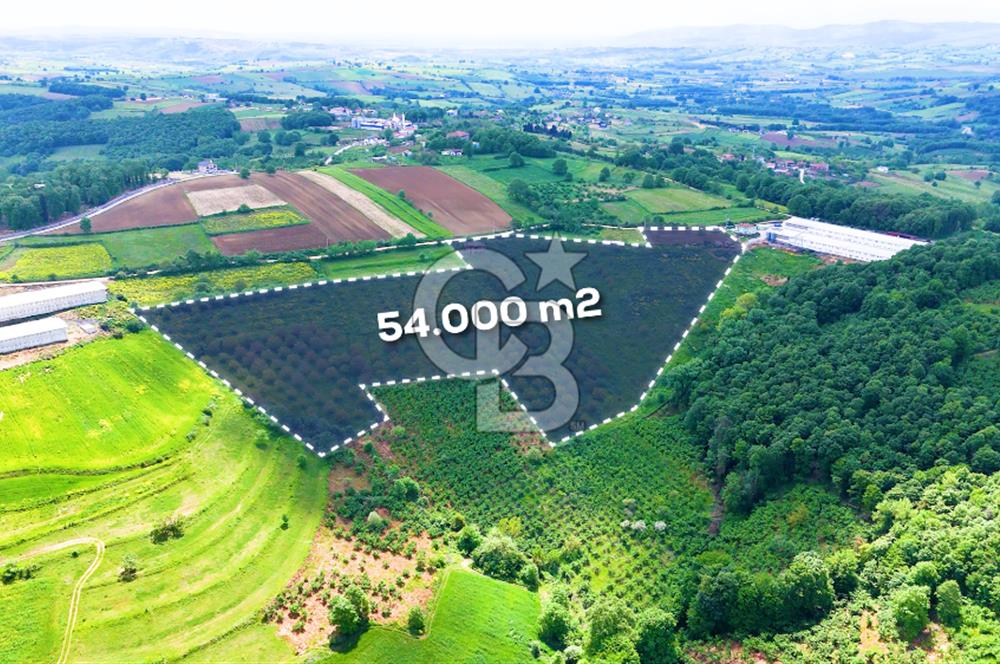 CB AKADEMİ İZMİT AKMEŞE AMBARCI KÖYÜNDE 54.000M2 SATILIK TARLA