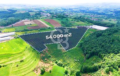 CB AKADEMİ İZMİT AKMEŞE AMBARCI KÖYÜNDE 54.000M2 SATILIK TARLA