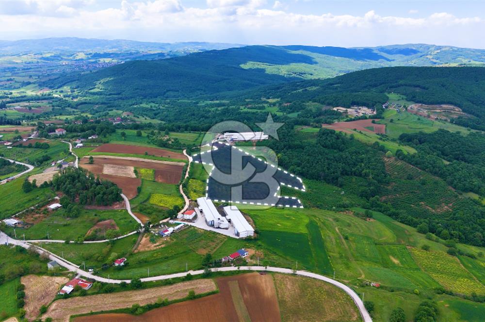 CB AKADEMİ İZMİT AKMEŞE AMBARCI KÖYÜNDE 54.000M2 SATILIK TARLA