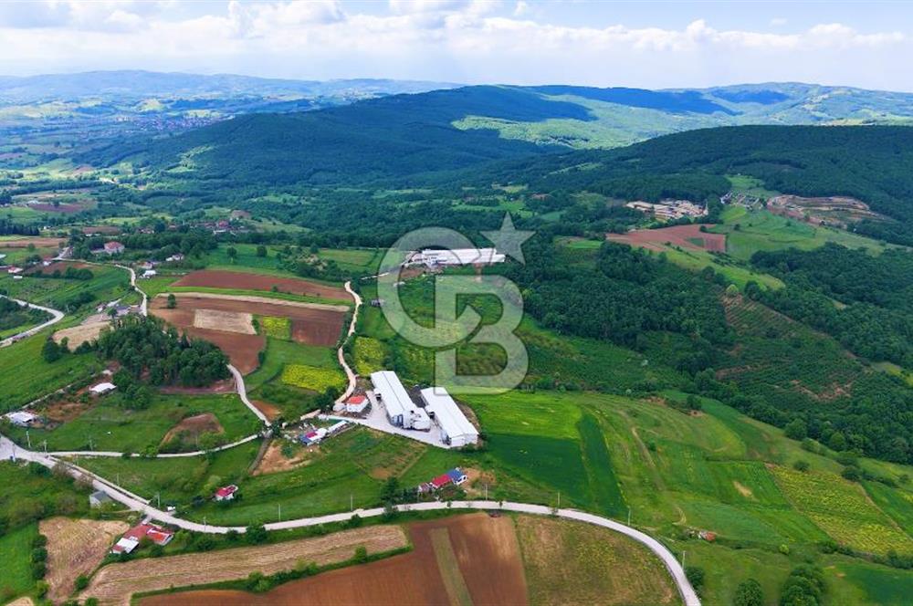 CB AKADEMİ İZMİT AKMEŞE AMBARCI KÖYÜNDE 54.000M2 SATILIK TARLA