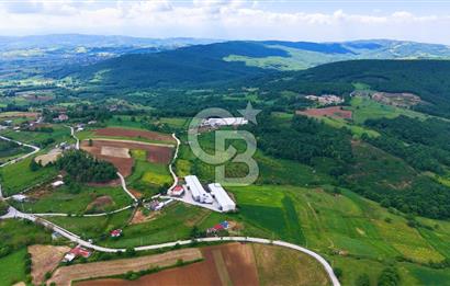CB AKADEMİ İZMİT AKMEŞE AMBARCI KÖYÜNDE 54.000M2 SATILIK TARLA