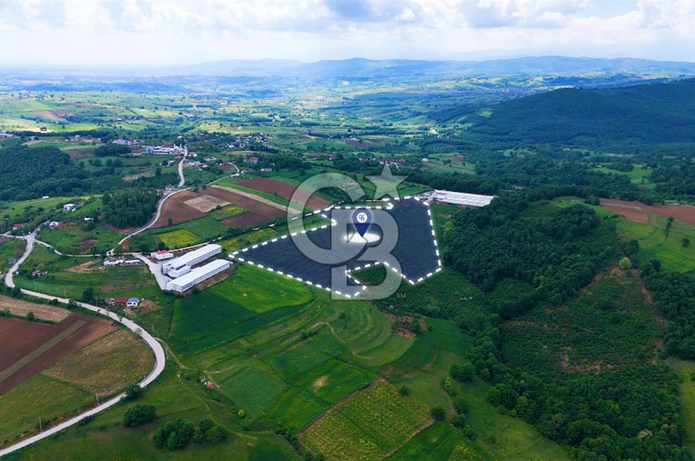 CB AKADEMİ İZMİT AKMEŞE AMBARCI KÖYÜNDE 54.000M2 SATILIK TARLA