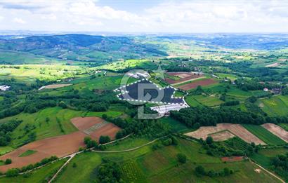 CB AKADEMİ İZMİT AKMEŞE AMBARCI KÖYÜNDE 54.000M2 SATILIK TARLA