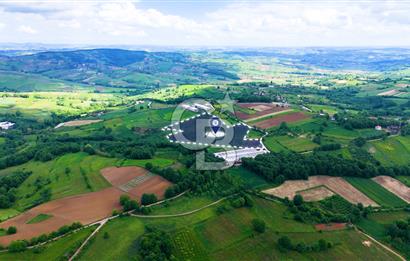 CB AKADEMİ İZMİT AKMEŞE AMBARCI KÖYÜNDE 54.000M2 SATILIK TARLA