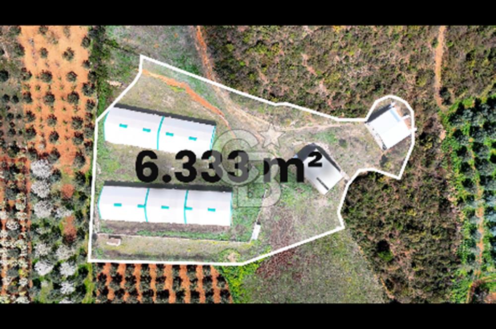 İznik Çiçek'lide Yatırıma Hazır 6.333 m² Tam Donanımlı Çiftlik